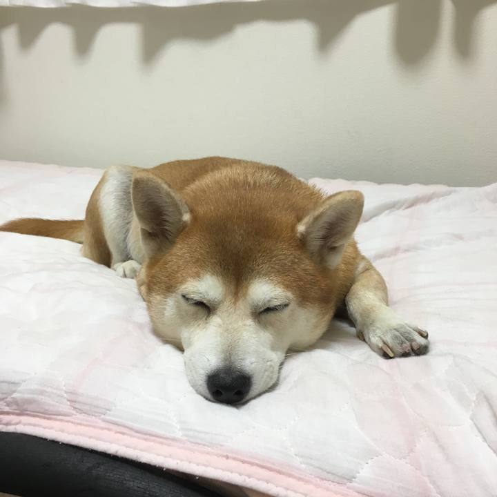 09dc4954 6997 4b50 bec8 0b40c9a4e1ec