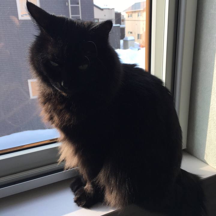 09dc59ab a21d 4ed4 b5af 7308289a1bfc