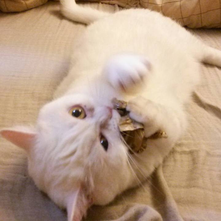 09dcd7b5 b444 4b5d a26e 693638a25bfe