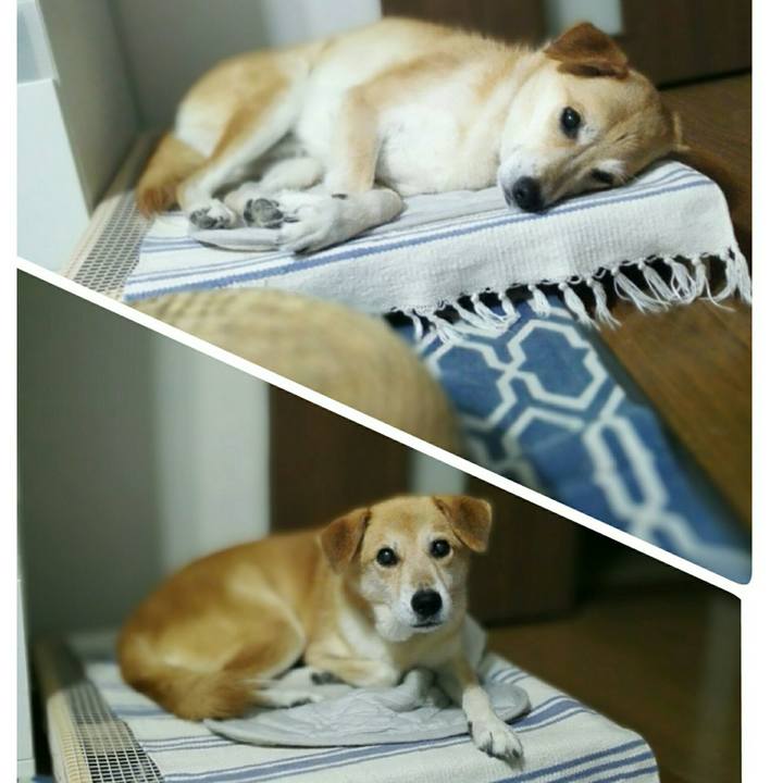 09dcf183 ed95 4bf8 9760 0e650cae3bd2