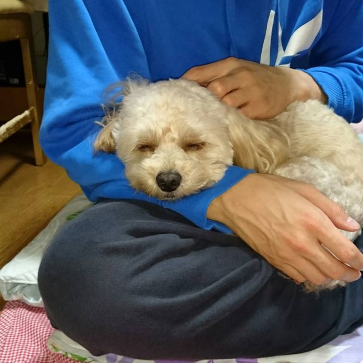 09dd82b9 a6fc 4555 885a 31229f28eb6b