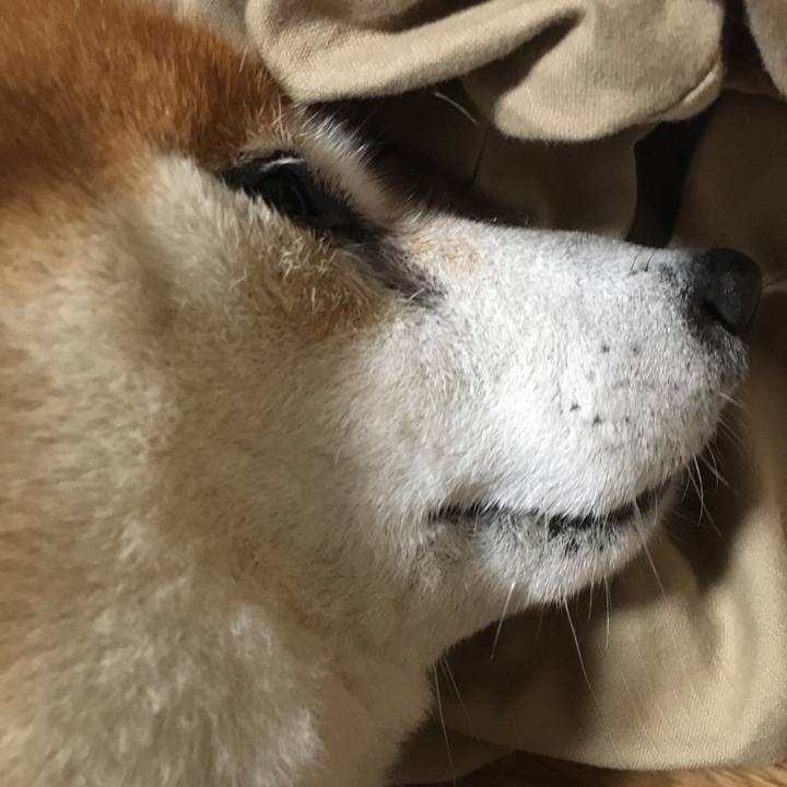 09ddcc76 262d 4d1b a496 0d6cf9f12397