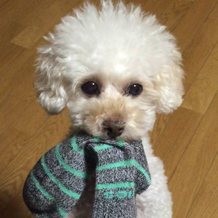 09ddfc2b c5ac 46b8 a93d 41ace492bf7e