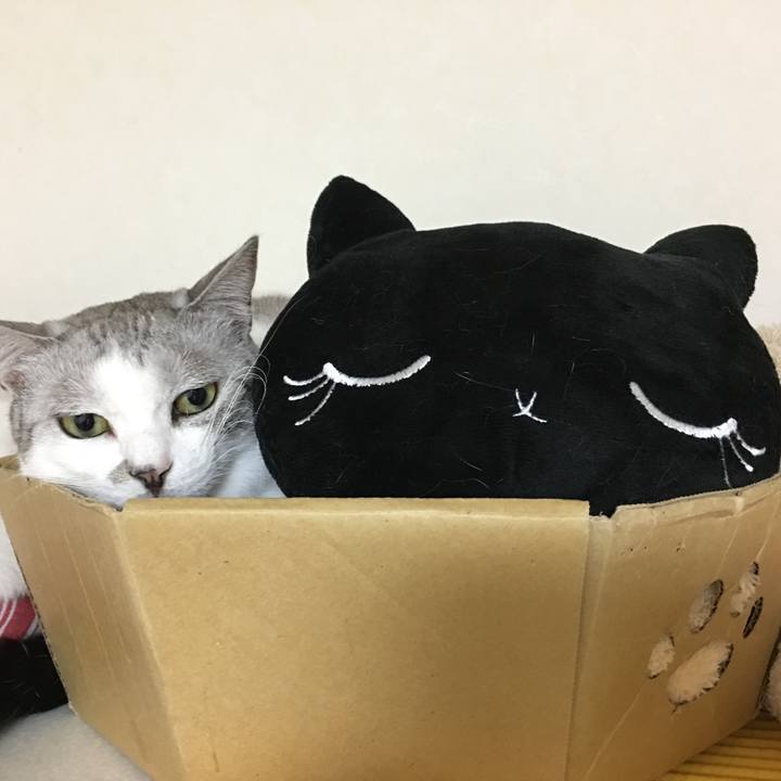 09df9295 76fd 4b0b 85cb a6ecf9beb65a