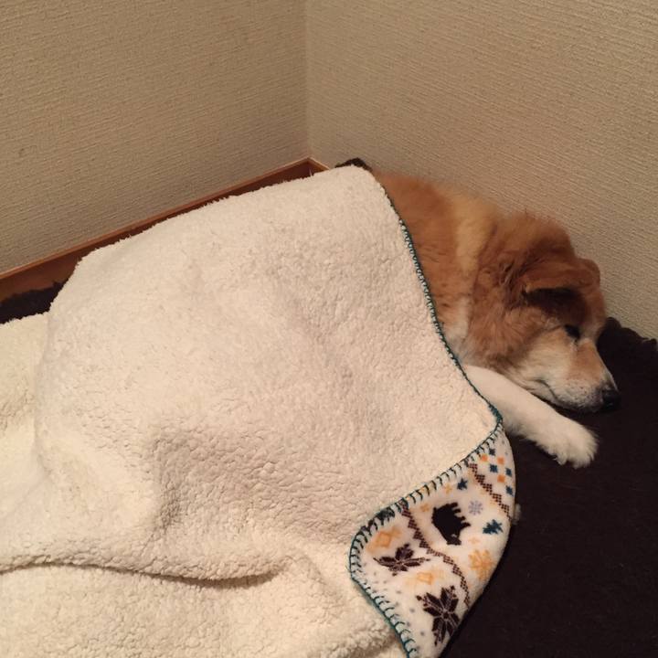 09dfe567 1ca8 4197 95a4 16bfebbae853