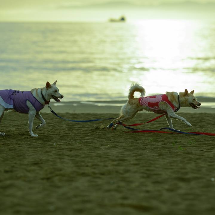 09dff762 caf4 4e09 84b9 6398fa0a1a48