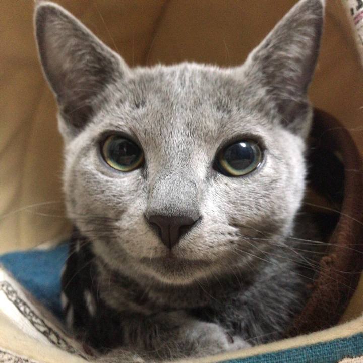 09e024b3 3bbb 4145 93cc a85bb53ec397