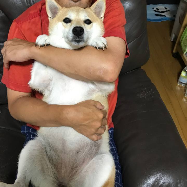 09e02550 eb07 4af0 b1e3 9b3b503e27d2