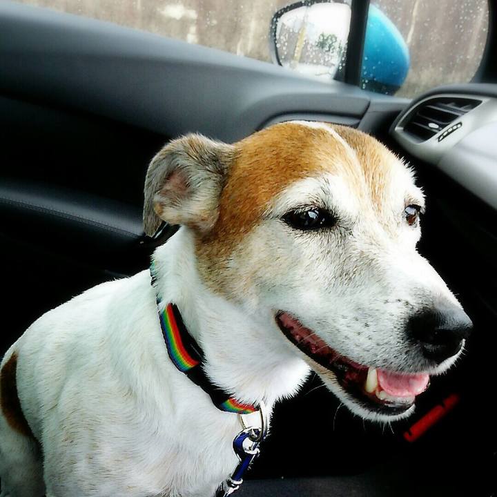 09e09c96 4eec 4b8a abf3 db528ebcf80f