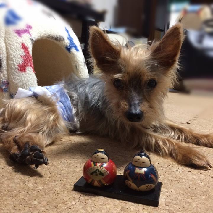 09e09eff a42f 4b00 8c25 7503efb8f05d