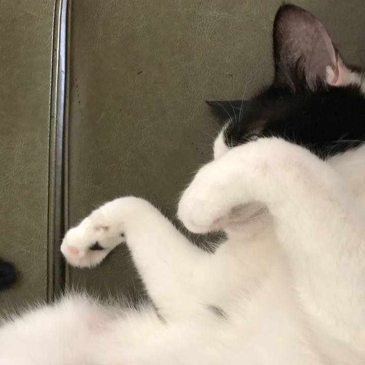 09e0a54c 7080 458b 933d 13a10d01e9d5