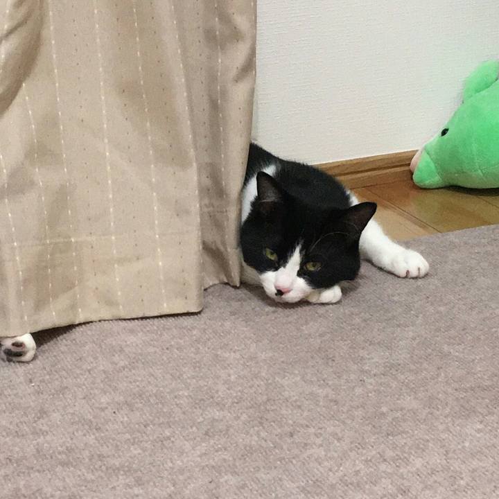 09e0ebb0 3f83 4bfb 99a6 9211118b99a2