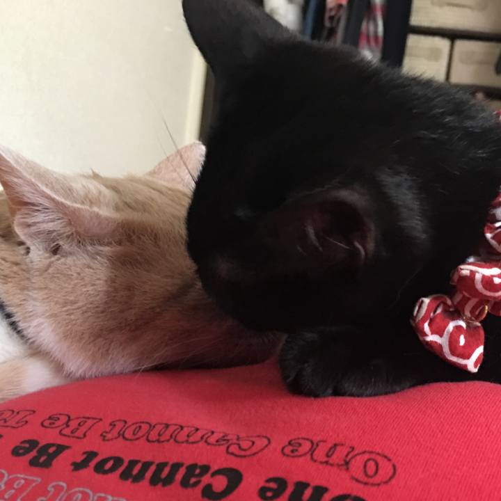 09e0fcf3 7bc0 43cb ab49 182c481aa32e