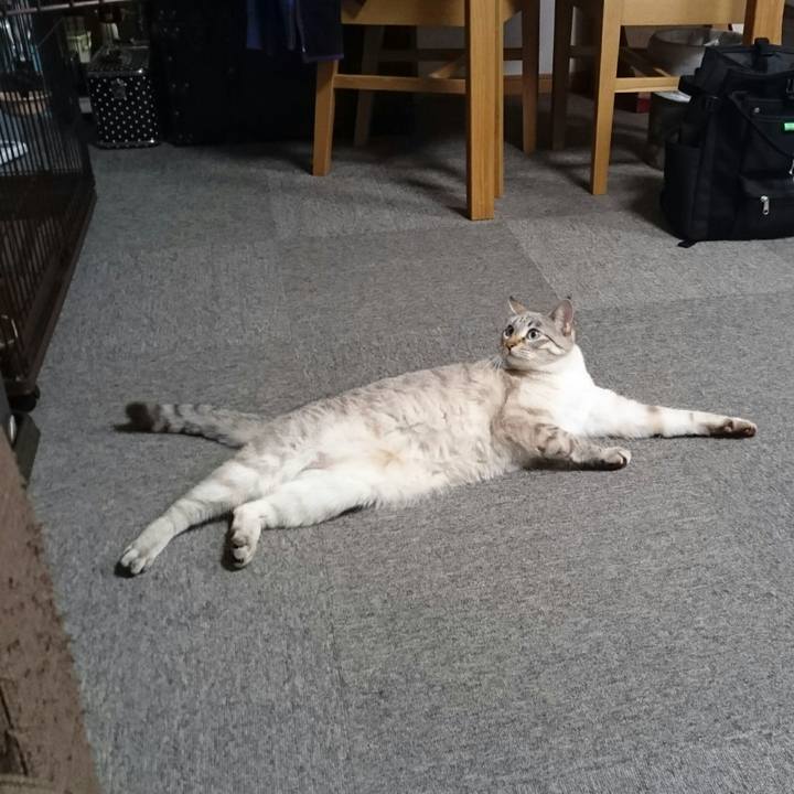 09e12f88 18de 493d 81c9 47cf3a1665c2