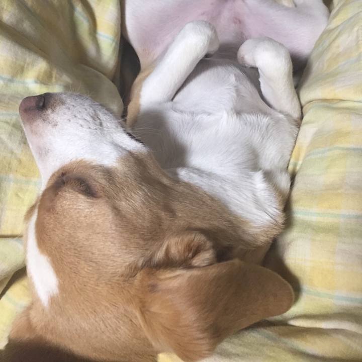 09e1879a e8c0 47b9 994f 6c386fe4107b