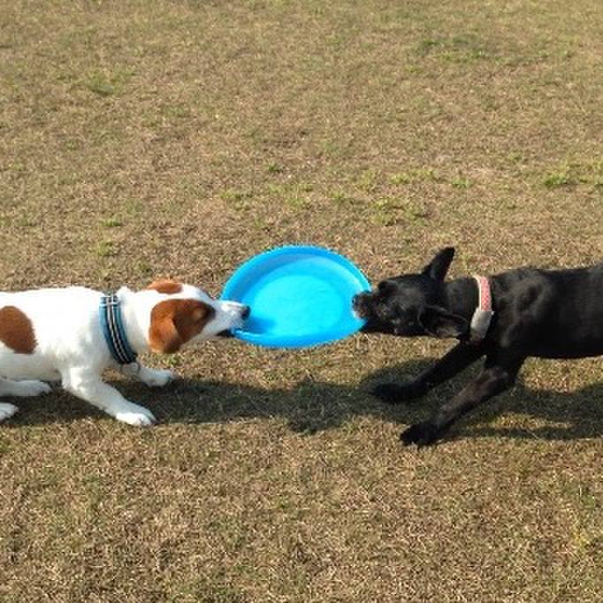 09e1af21 c62e 4f67 9922 d0029d72ff45