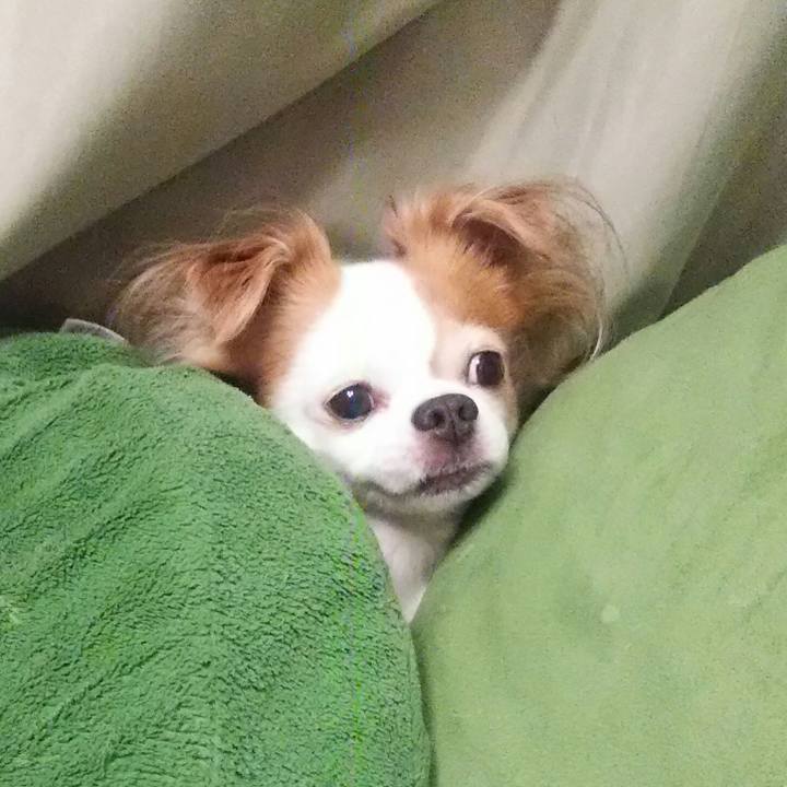 09e1b410 7c83 4e93 b74e f4bbee9e6a45