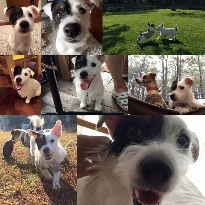 09e1b718 fcc2 43d1 94a5 d0334d687bc7