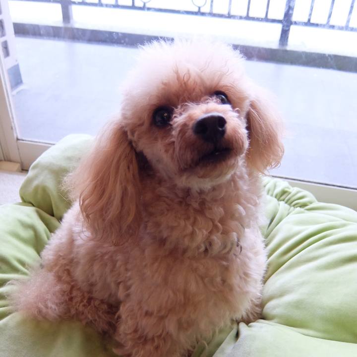 09e2df1d b128 4ab9 8245 201b580d4709