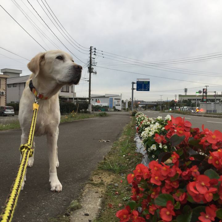 09e2f388 fd49 4260 9325 e92ed7d023ff