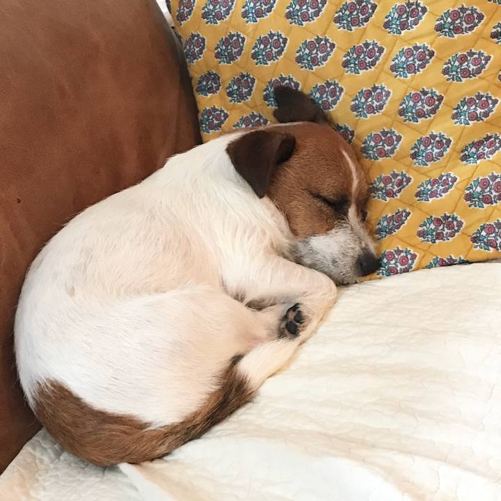 09e3257b 468d 4009 858a 1baa8e01f8f2