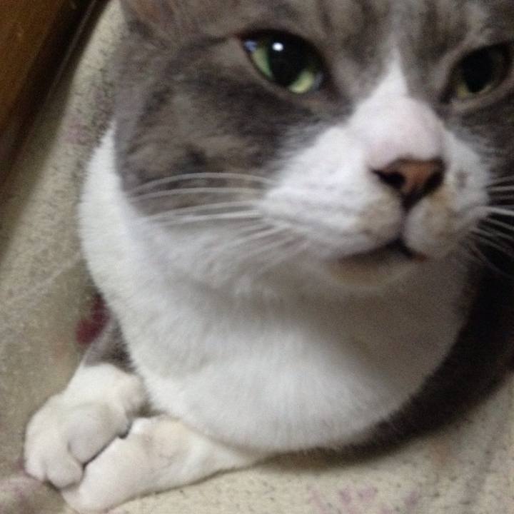 09e381aa 6cf1 4ad6 9f86 e3665ee1ffd7