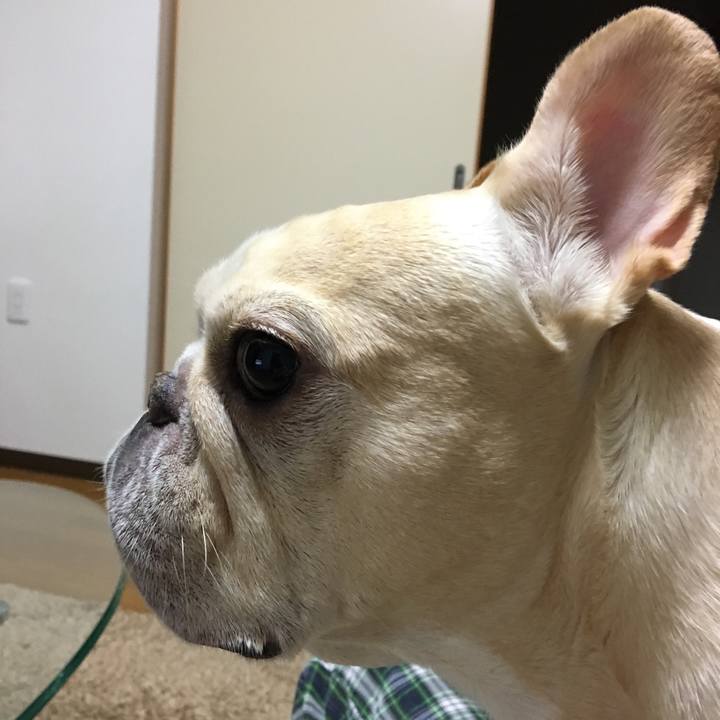 09e3de2a fdfa 4c8a a8cb 1e579367f745