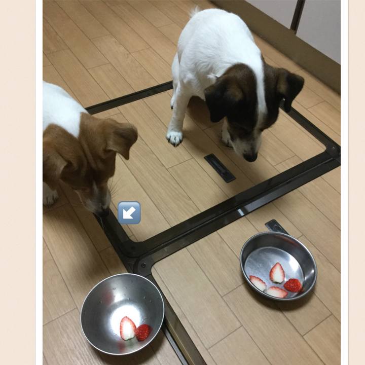 09e3ff6e 8194 4d57 9dc4 57f761868d89