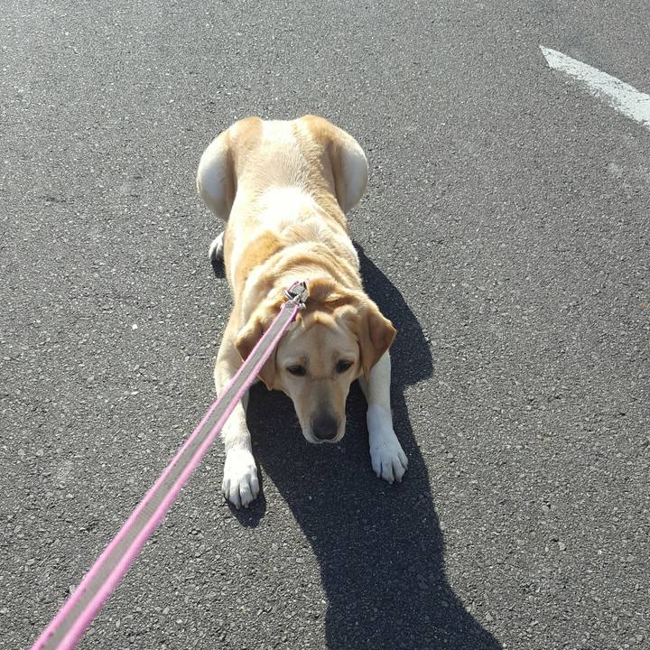 09e4763d 6976 4d85 870f fdba036aa7b8