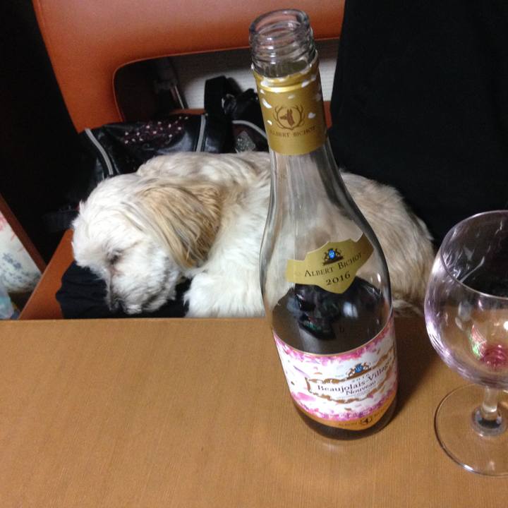 09e4839f 419b 4c2d 8593 2c5eb0f3a008