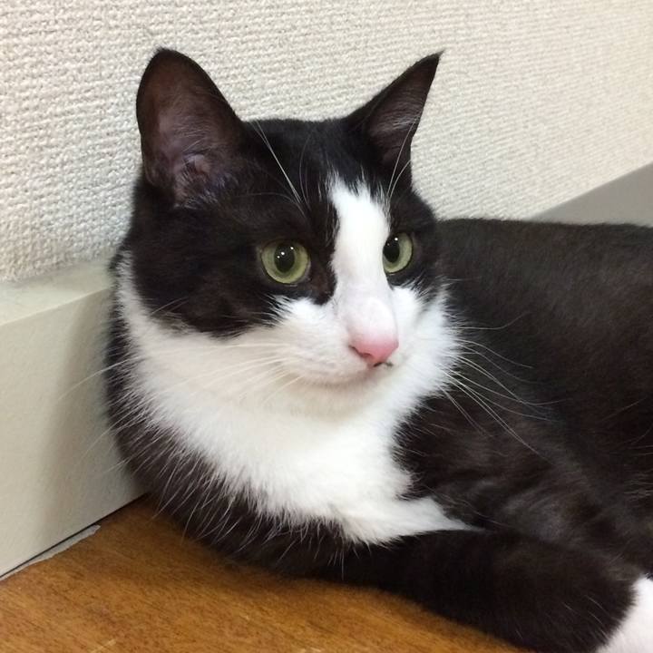 09e50c34 c6cd 4db0 b6f2 8fa12687dc2f