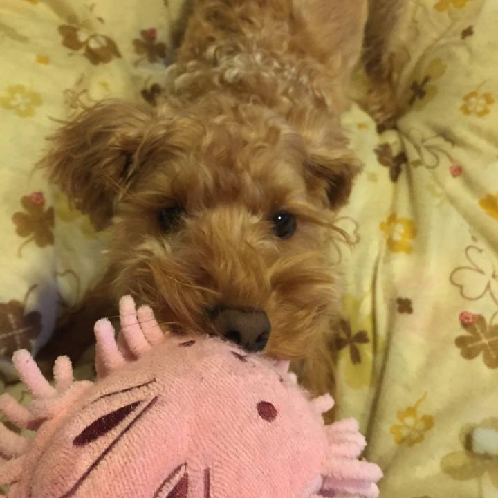 09e5bb54 2733 4623 8f04 b561c4d3adec