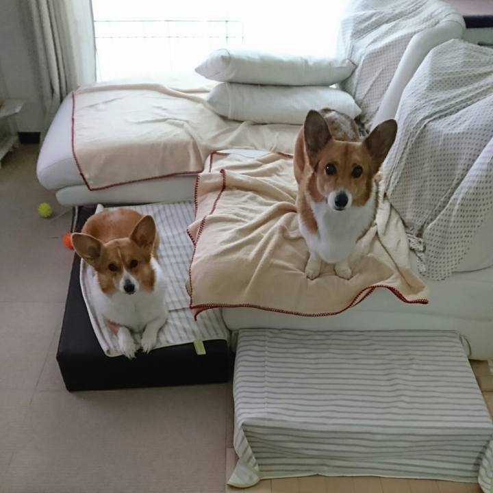 09e62786 f46a 4afb b6ef f3acba2488ef