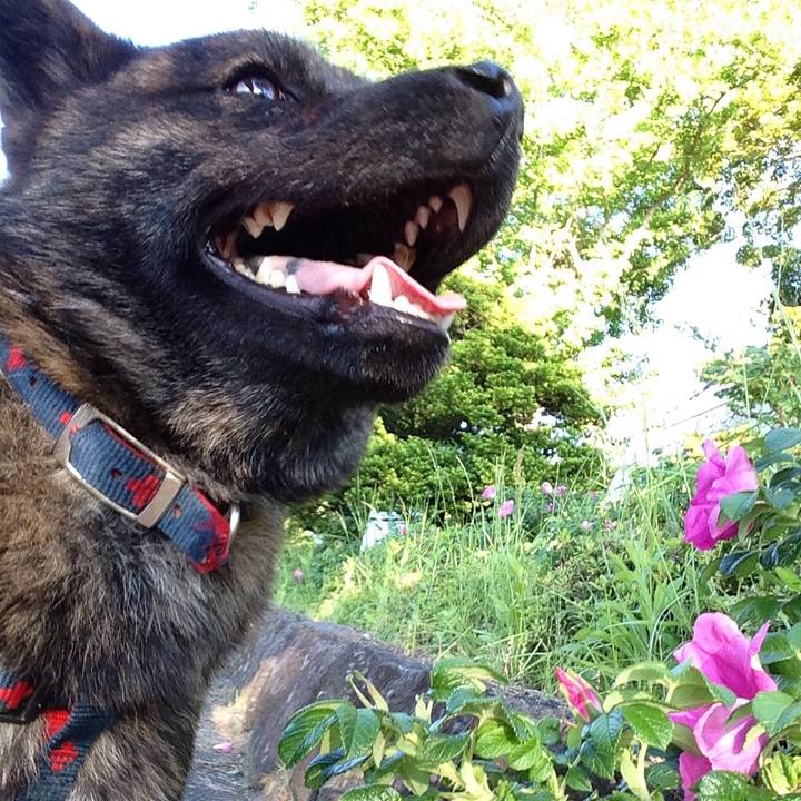 09e698da 00b5 496a aa90 2488b36cb16b