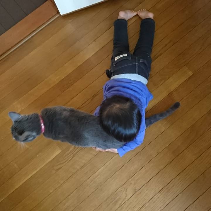 09e700a2 8adf 4769 af44 ffeca9b11370