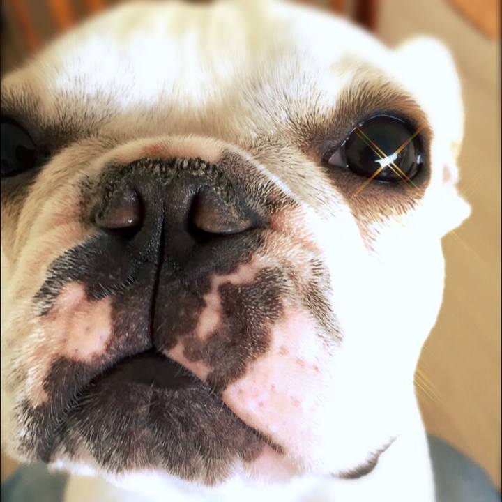 09e71582 46e0 443b b617 6fa1c8e0291c