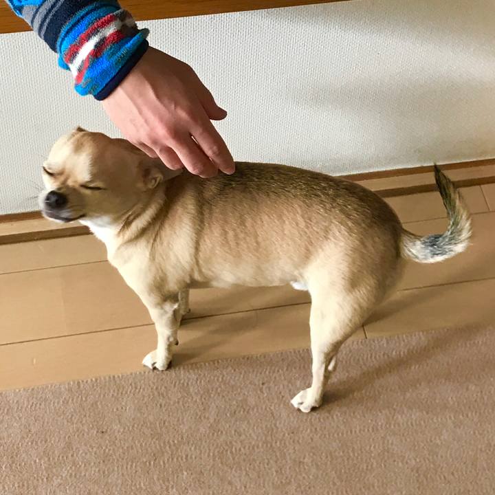 09e77321 5843 4644 8141 fb179969512e