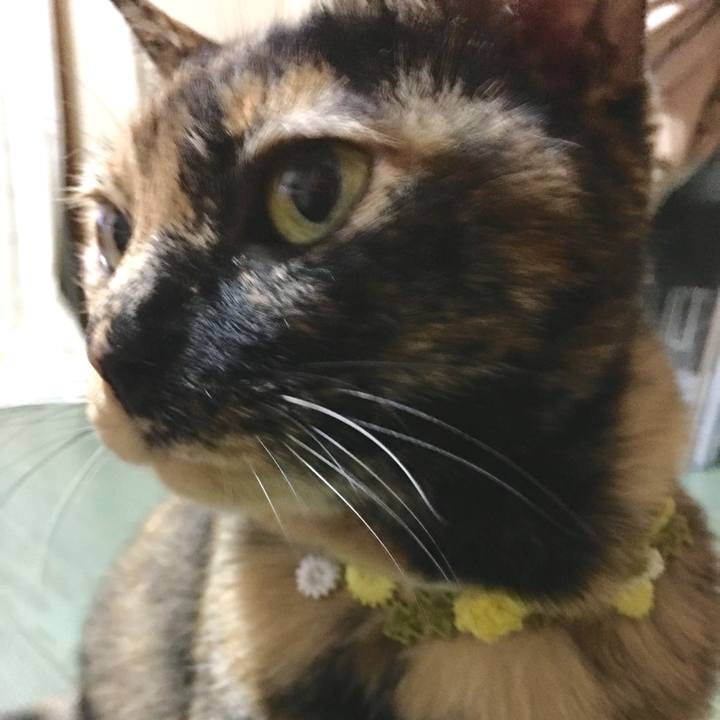 09e8288f 2d65 4858 b41f 8fad4e4668b5