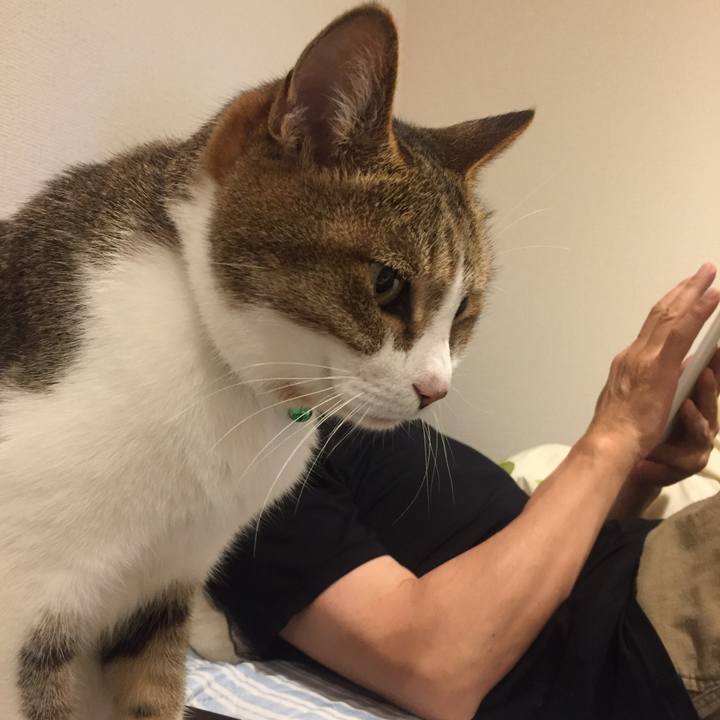 09e8dd58 3e04 44c5 bd47 edd97d3af679