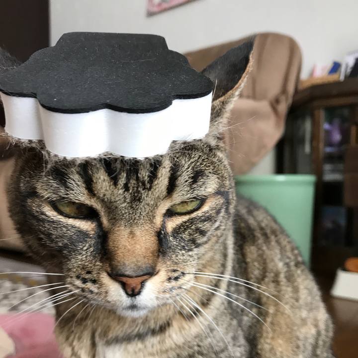 09e8fc39 3a3d 42db 80cb e7a2d52ba4db