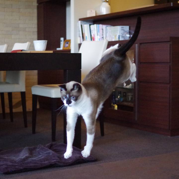 09e8fcc0 98f7 451a be71 ead9771e277c