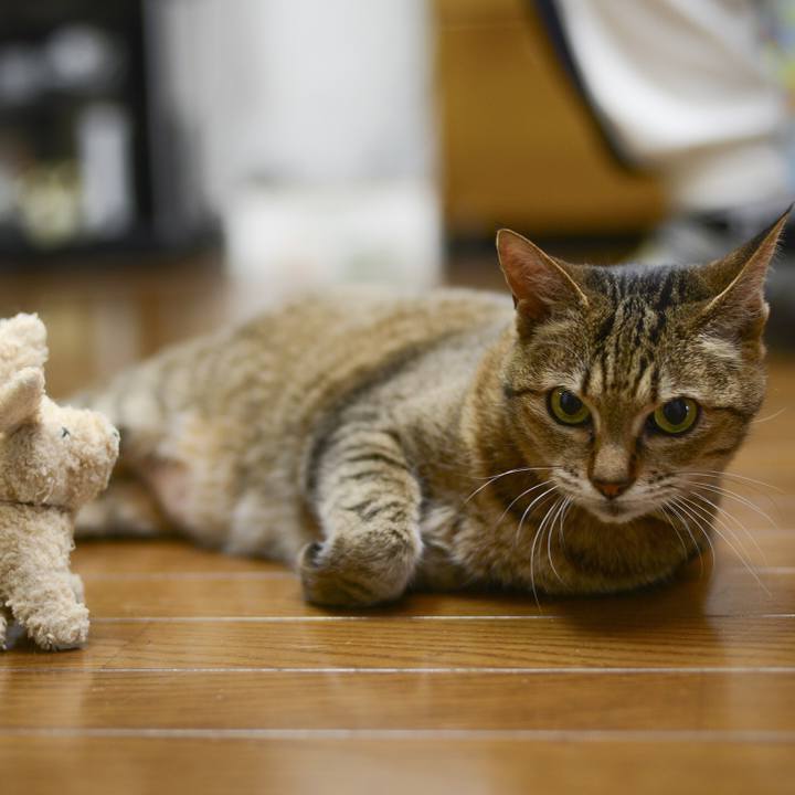 09e9172b 3823 4ace bc84 7a5a6fa97eca