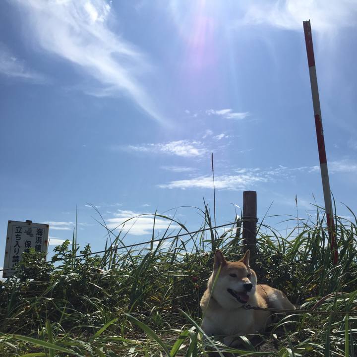 09e93718 298f 4ef6 aec2 75b22162cfa1