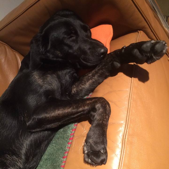 09e9439d 8ce8 4e03 8ca7 33372a59c9bf