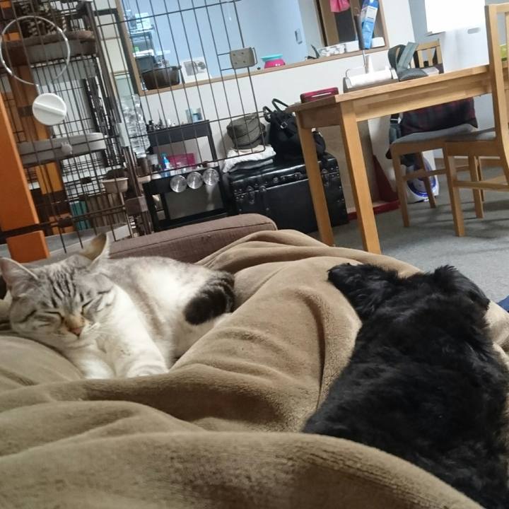 09e9b264 a99f 4534 b145 239d4e0bf7fc