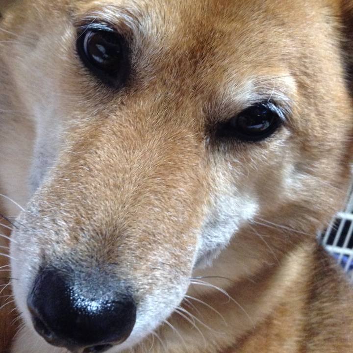 09e9ebc7 2e82 4bdf 8a7f 71836f2e7709