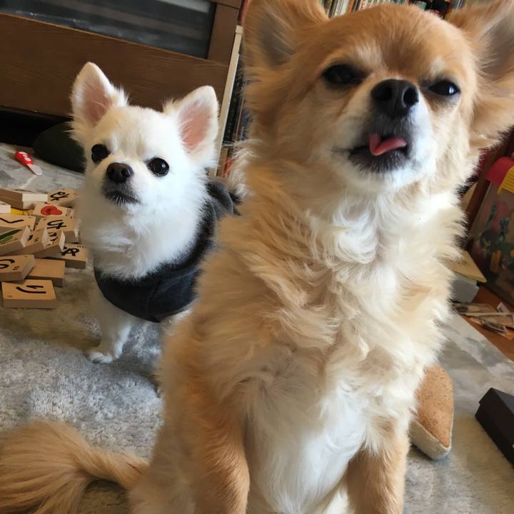 09ea2c86 05f1 4a3b ae97 db33f07ce515