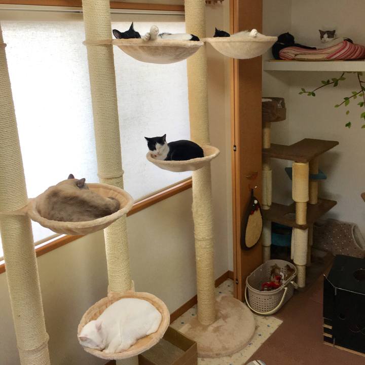 09ea40c7 1500 4312 9296 5cdaf278d3f1