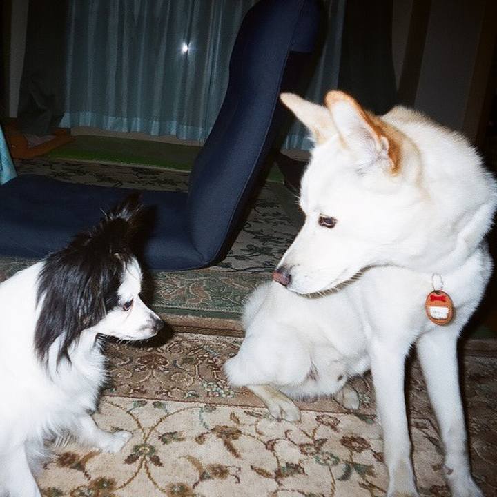 09eaf512 3156 45d2 b190 5b588fbd6edb