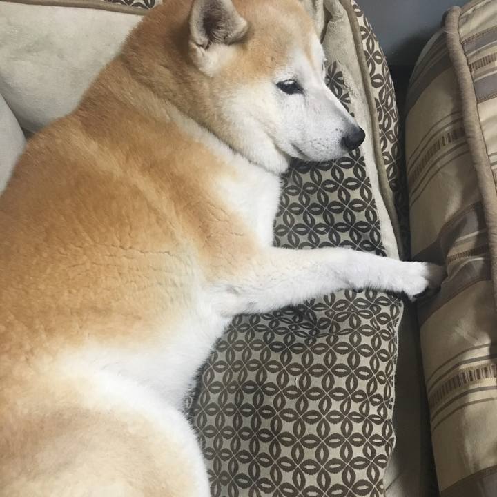 09eaf9c5 d804 40a5 9aae dacd66e5b1fa